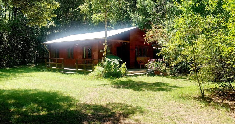 Cabaña House in Los Ríos, Chile