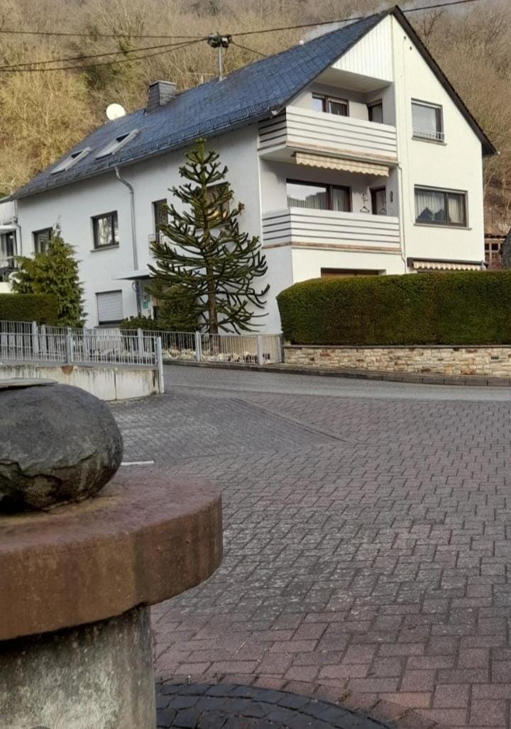Ferienwohnung " Am Dorfbrunnen" Apartment in Rhineland-Palatinate