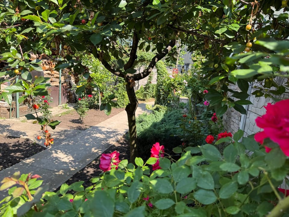 Villa Garden Apartment in Serbia