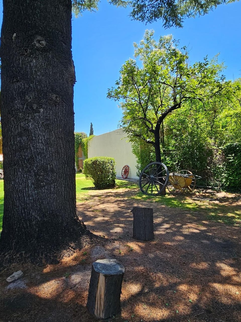 Quinta Ugarte - Casa con Viñedo House in Luján de Cuyo