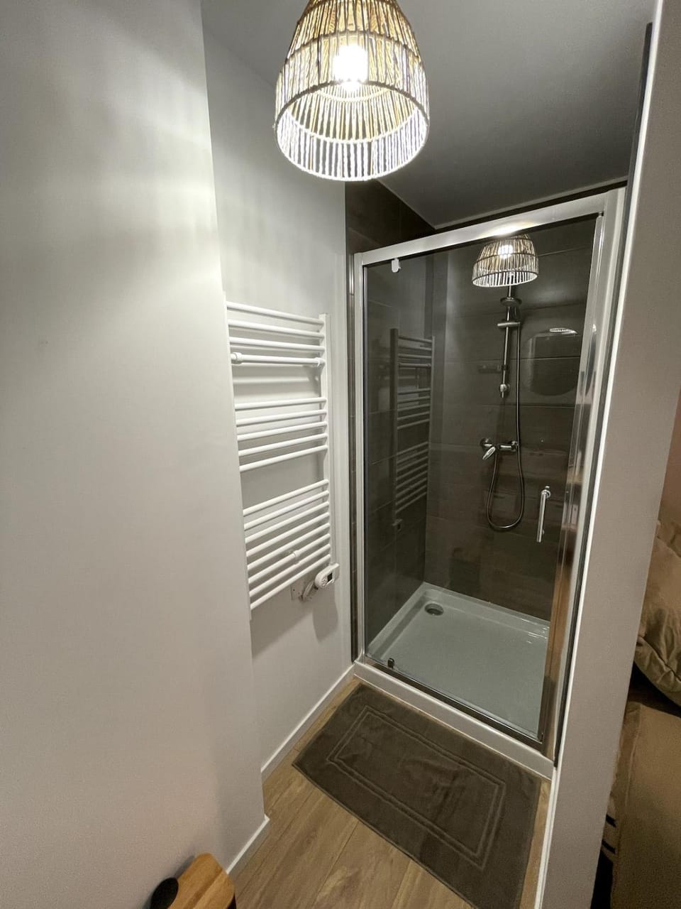 Shower, hair dryier, towels