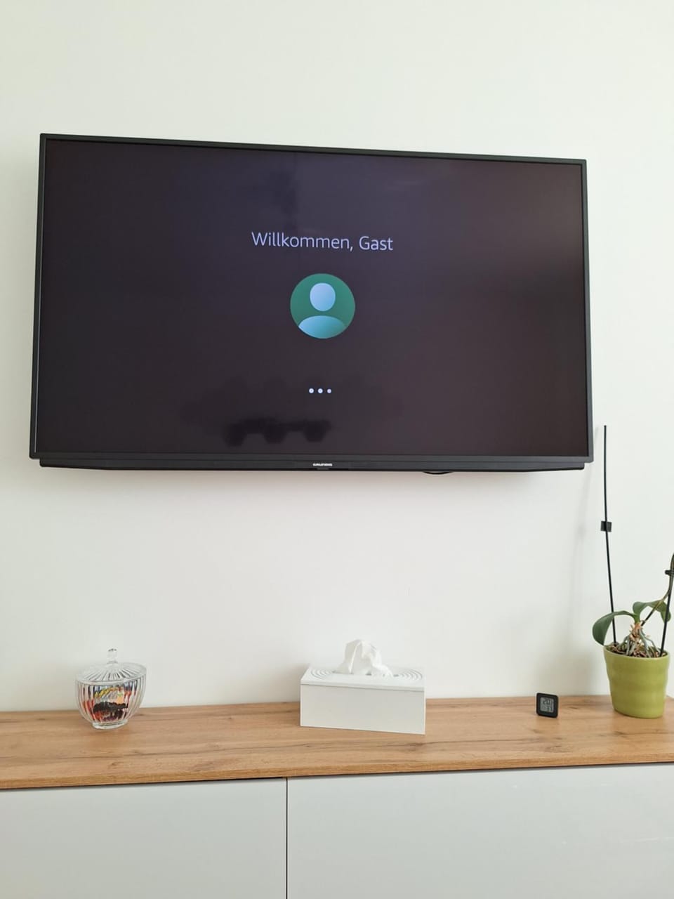 TV and multimedia