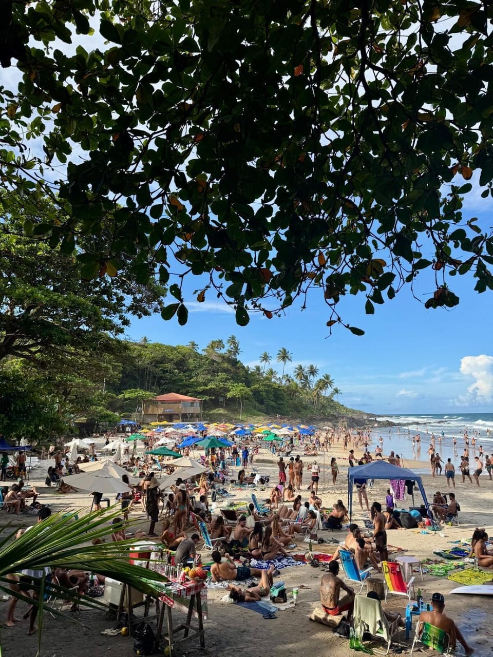 Apartamento na Pituba Itacaré Perto das Praias Apartment in Itacaré