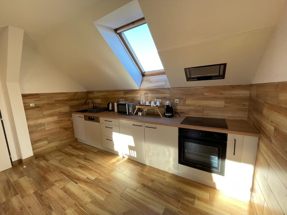 Ubytování U Čuníka Apartment in Czechia