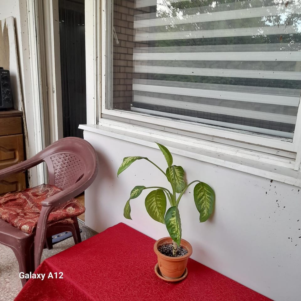 Apartman Suva reka Apartment in Serbia