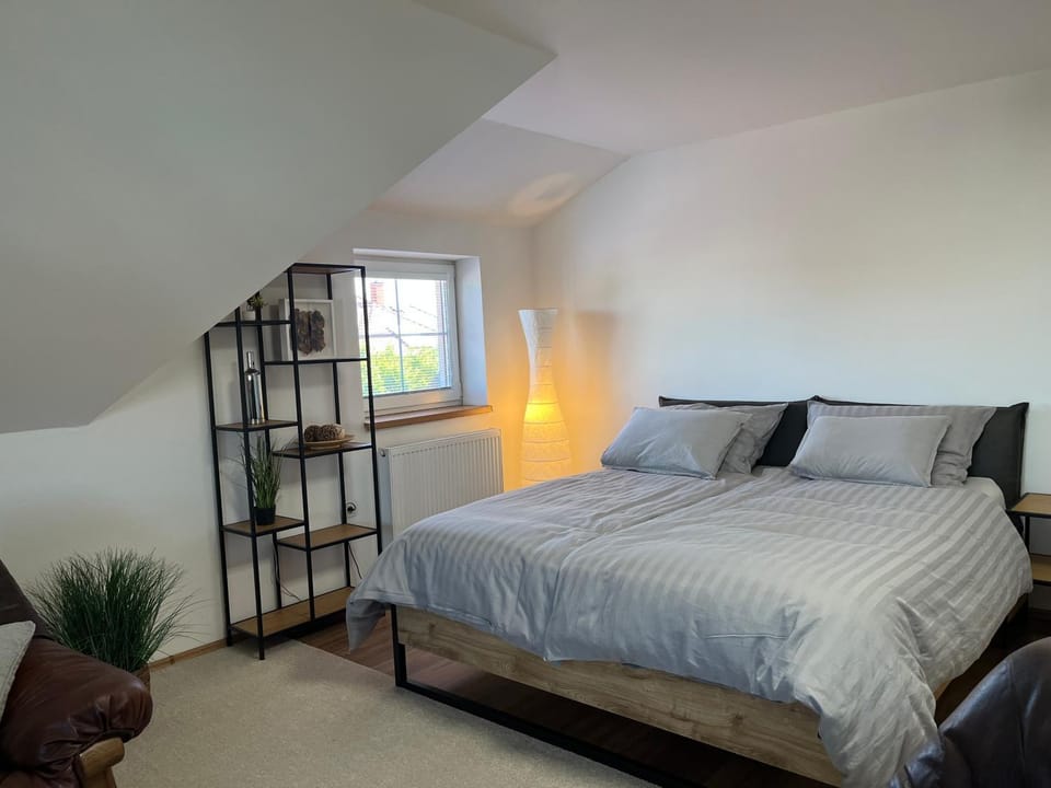 Vila SoHo Apartment in Czechia