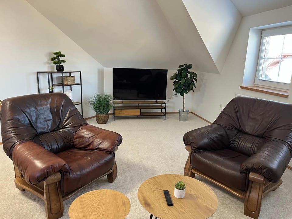 Vila SoHo Apartment in Czechia