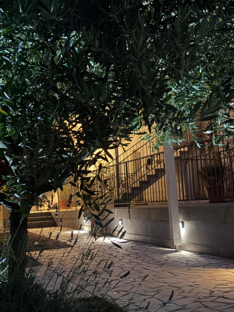 Night, Garden, Garden view