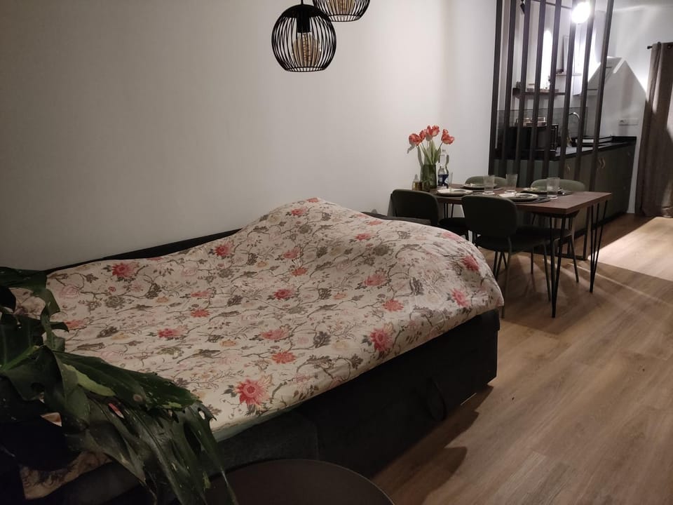 Bed and Breakfast Bergs Huuske Bed and Breakfast in Limburg (province)