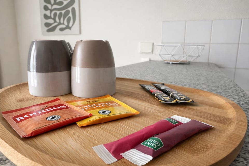 Le Cocon Strasbourgeois Apartment in Strasbourg