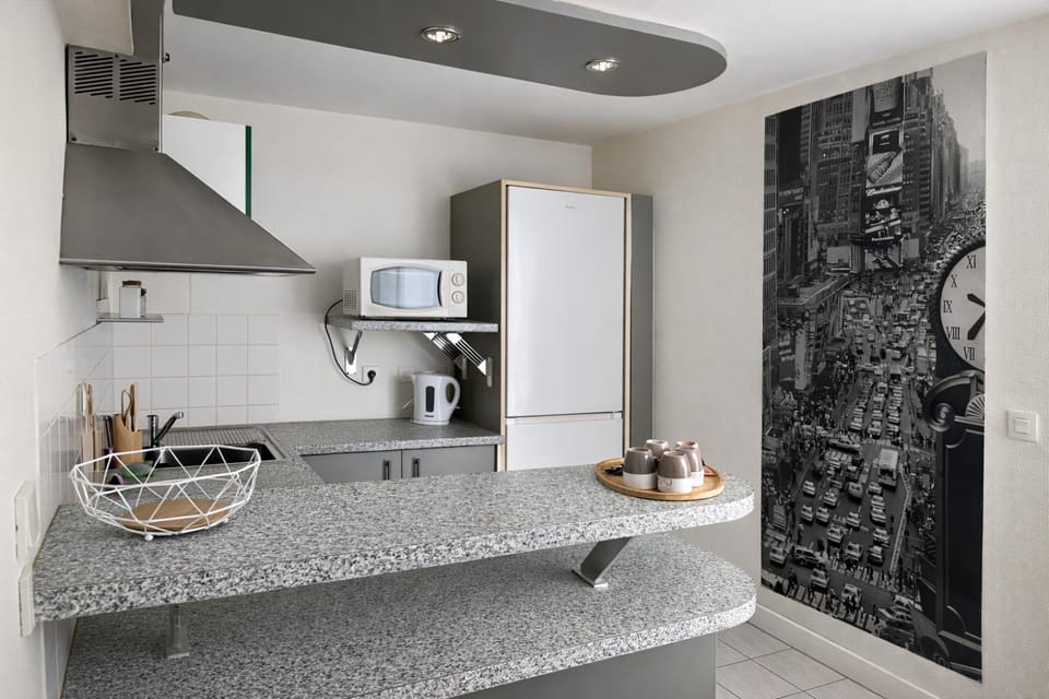 Le Cocon Strasbourgeois Apartment in Strasbourg