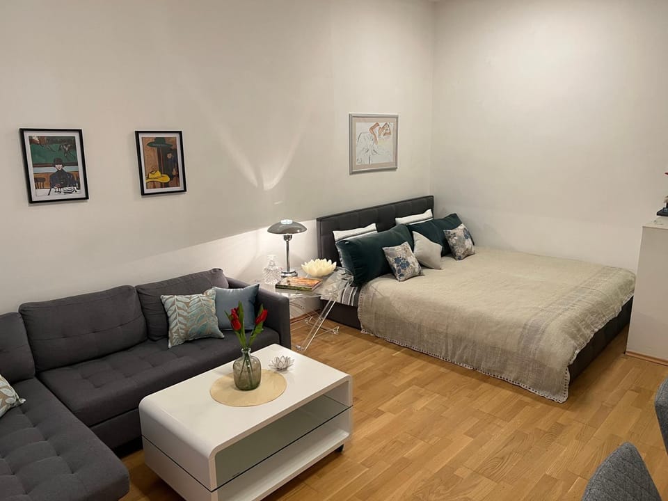 Bed, Living room, Photo of the whole room