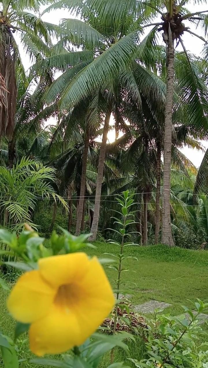 Campo De Laiya Campground/ 
RV Resort in Calabarzon