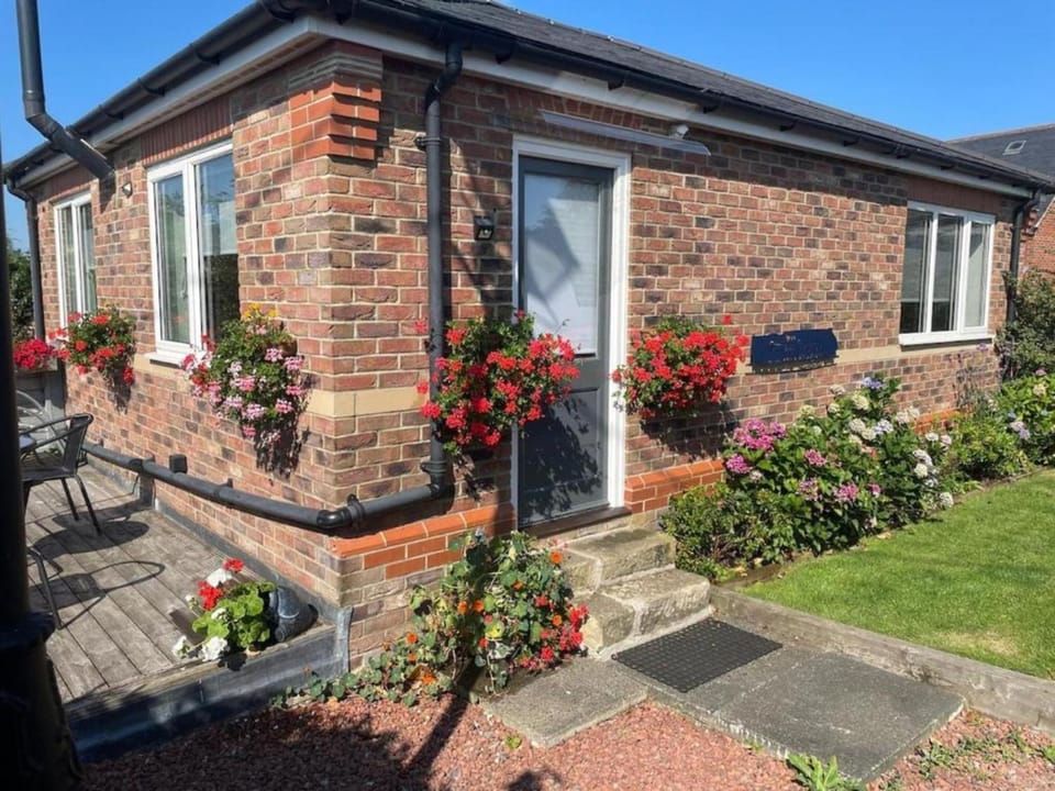 Property building, Day, Garden, Garden view, Street view
