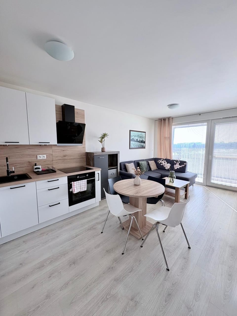Living room, kitchen