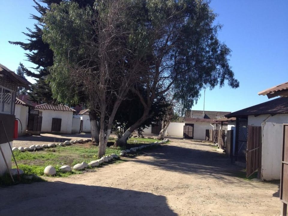 Patio, Natural landscape, Inner courtyard view