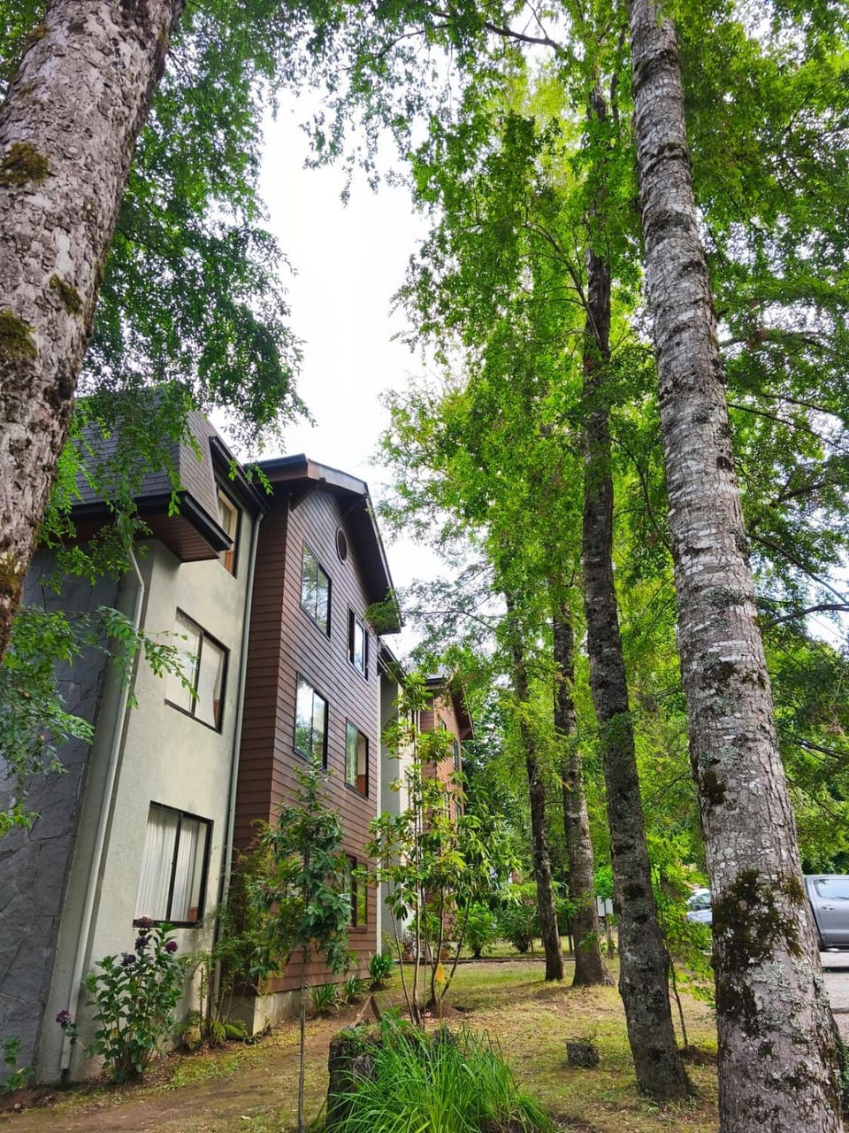 Pucon Parque Suizo Apartamento, primer piso Apartment in Pucon