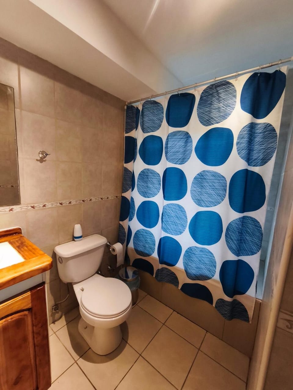 Pucon Parque Suizo Apartamento, primer piso Apartment in Pucon