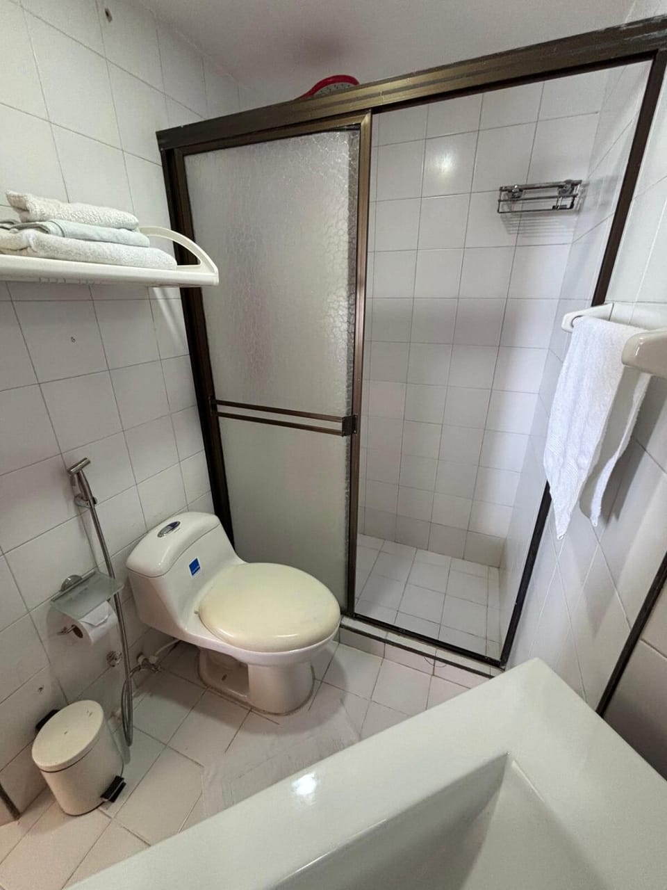 Bathroom, bidet, towels