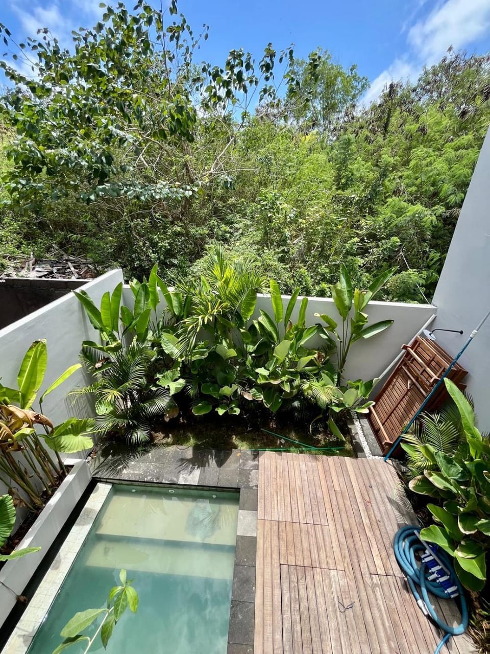 Garden, Pool view, Swimming pool, sunbed