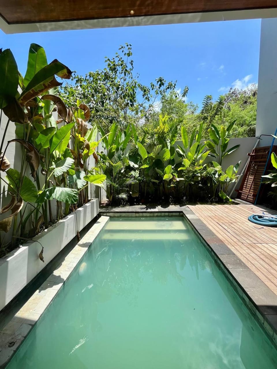 Pool view, Swimming pool