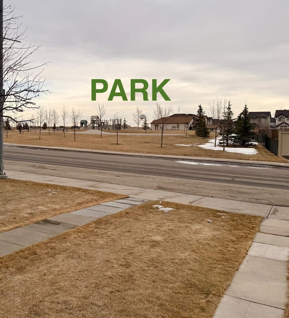 Day, Neighbourhood, Street view, Parking
