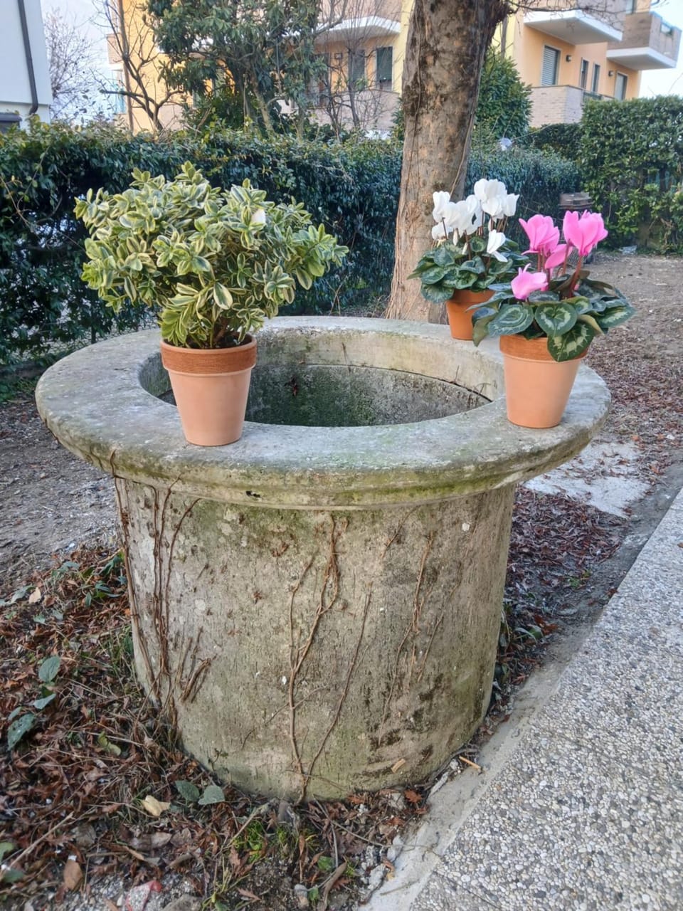 Timberly Bed and Breakfast in Padua