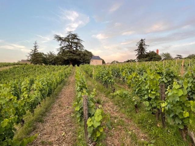 Natural landscape, Garden view