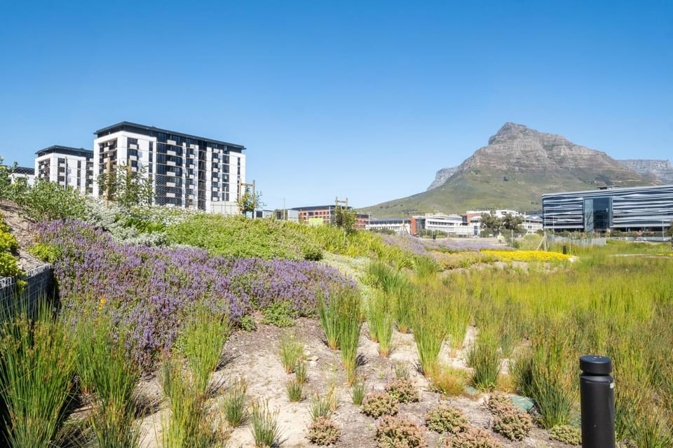 827 Riverlands - Studio Apartment with Parking Apartment in Cape Town