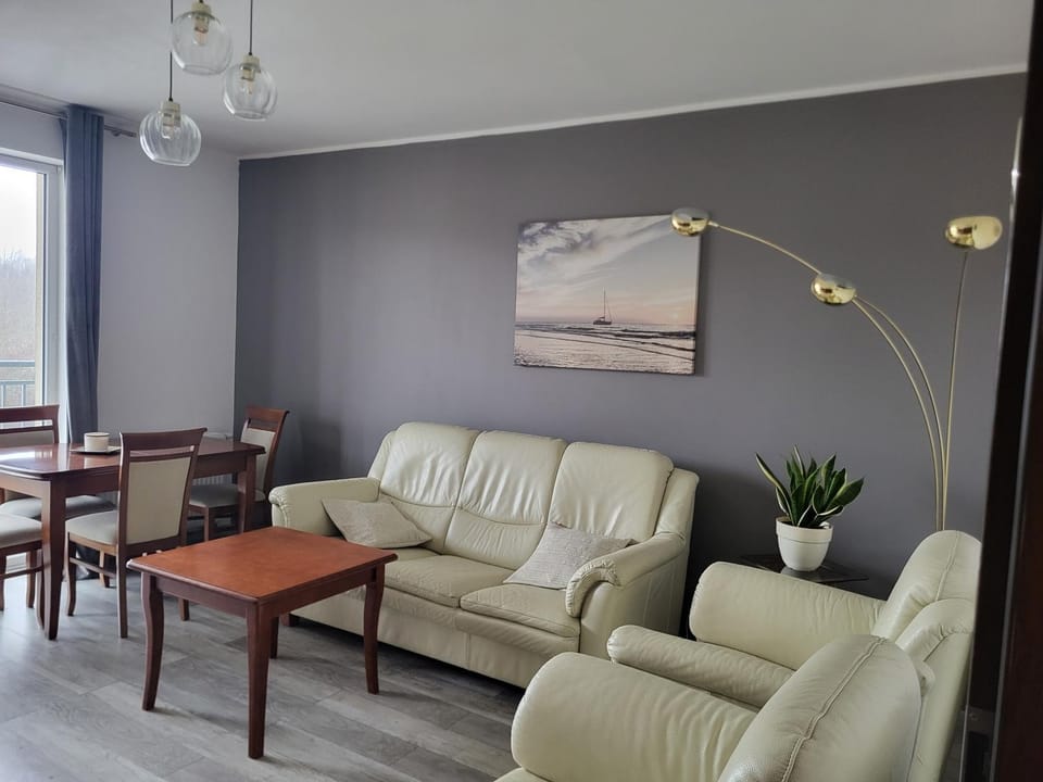 Duży pokój w mieszkaniu wspólnym z balkonem i miejscem parkingowym Vacation rental in Gdansk