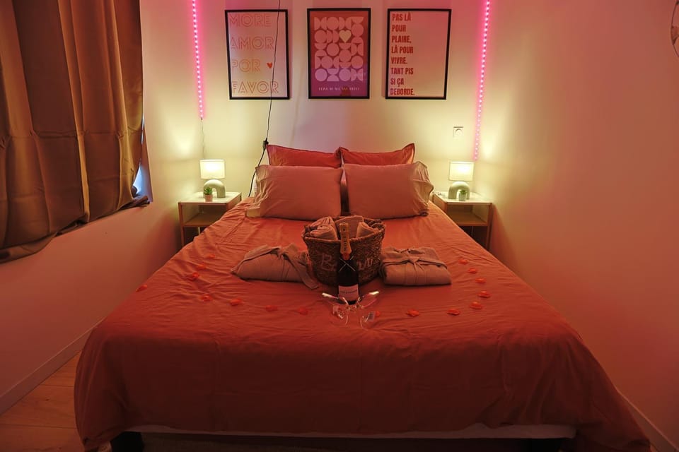 Suite Roséa - Place du peuple Apartment in Saint-Étienne