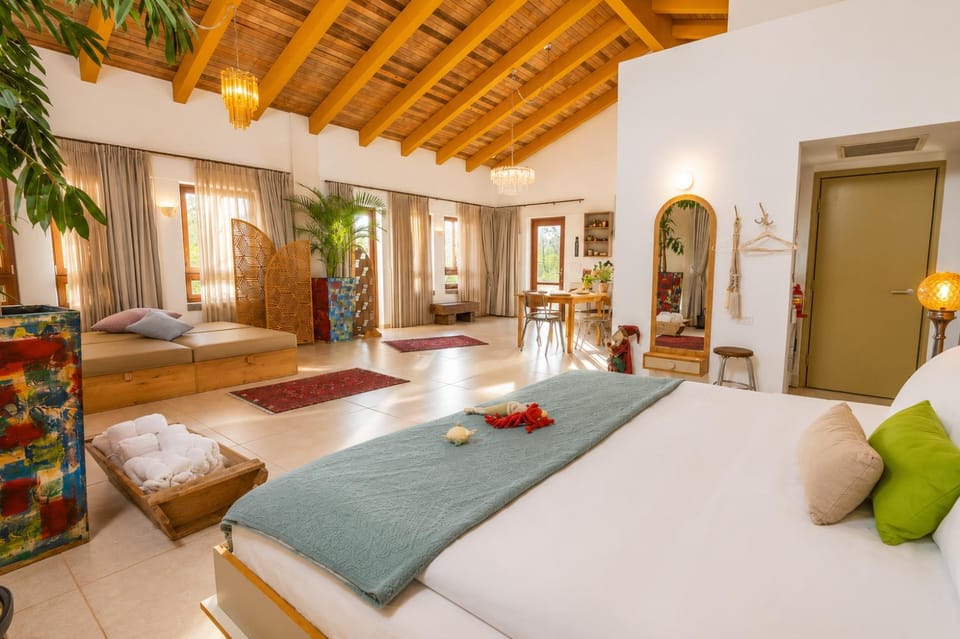 Bed, Living room, Photo of the whole room, Seating area, Bedroom, towels