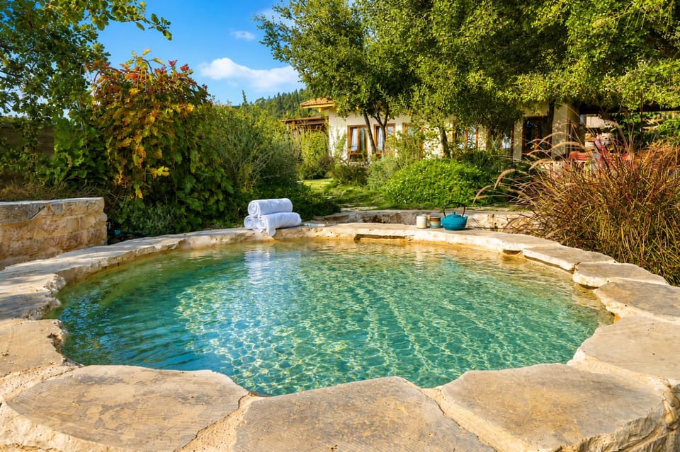 Natural landscape, Garden, Pool view