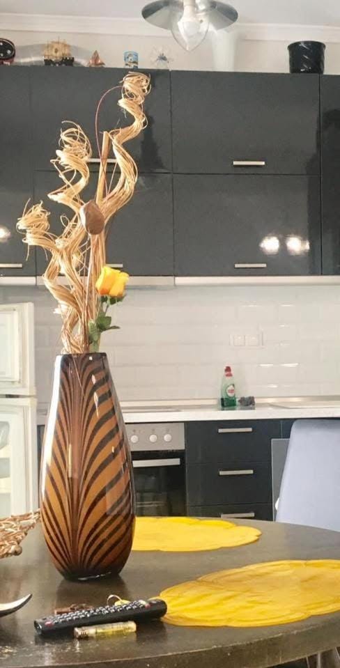 Beach House Deluxe 2-Bedroom apartment Aghia Triada Apartment in Decentralized Administration of Macedonia and Thrace
