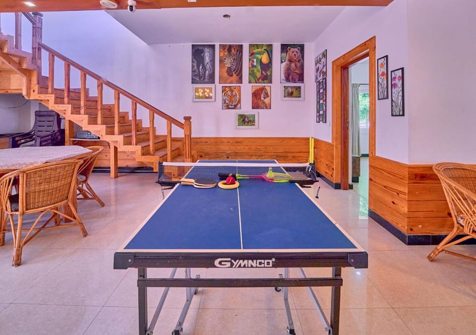 Game Room, Table tennis