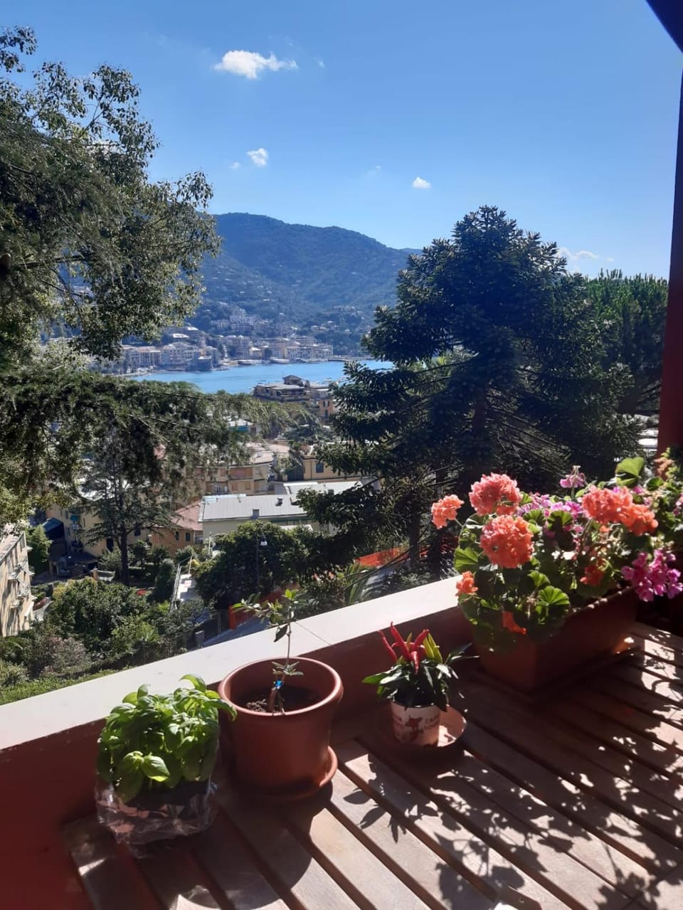 View (from property/room), Balcony/Terrace, Garden view