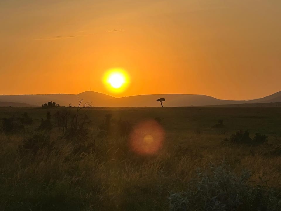 Mara oasis Nature lodge in Kenya