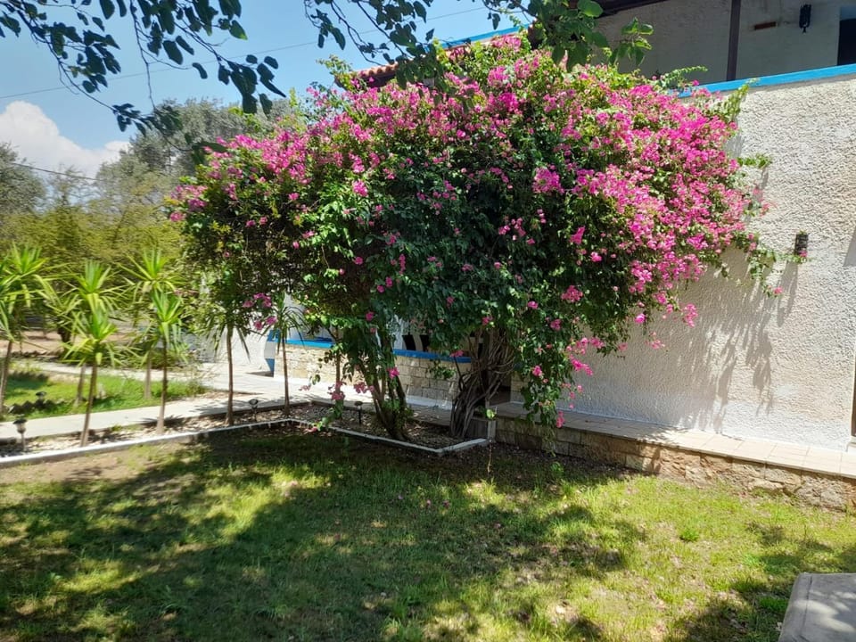 Diotima Rhodos Experience Villa in Kolympia