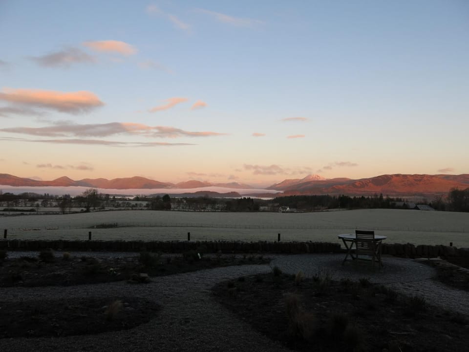 Natural landscape, Garden, Garden view