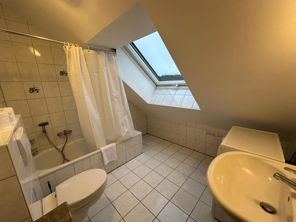 Toilet, Bathroom, towels