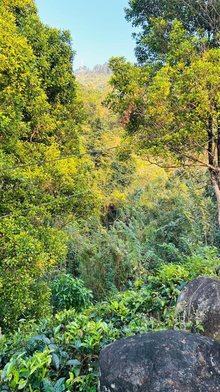 Nature Resort Ambuluwawa Campground/ 
RV Resort in Central Province