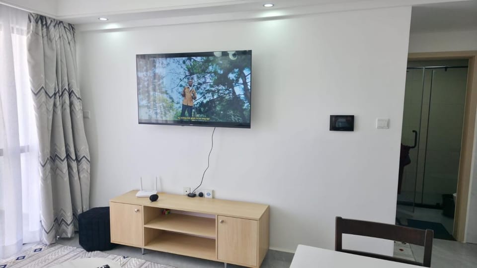 TV and multimedia