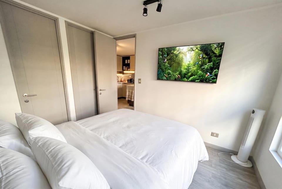 Eco España I Movistar Arena I 1H1B Apartment in Santiago