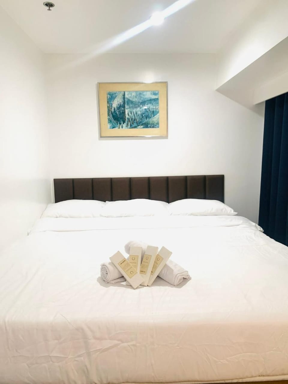 Luxury 2BR with Stunning Skyline Views in BGC Apartment in Makati