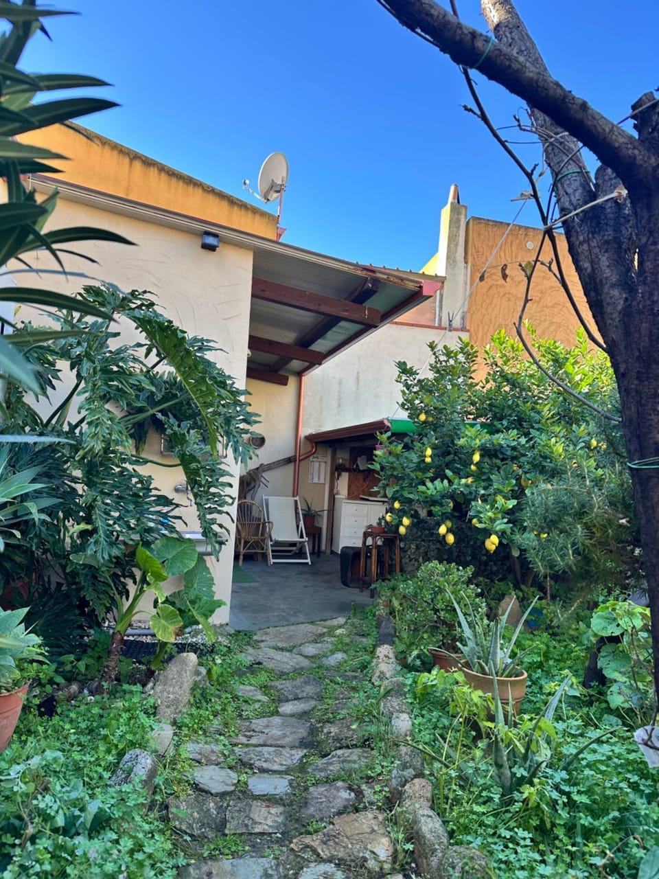 Property building, Garden, Garden view