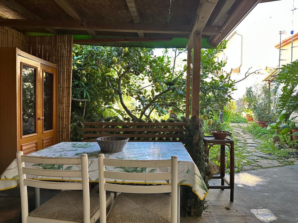 Patio, Day, Seating area, Dining area