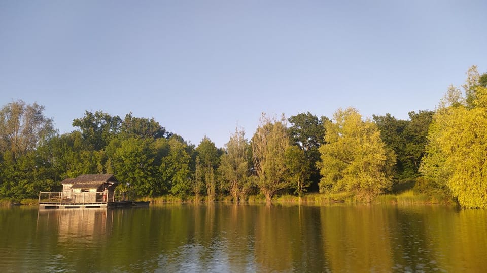 Cabanes flottantes du Lac de Pelisse Chalet in Nouvelle-Aquitaine
