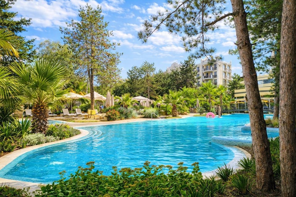 Natural landscape, Garden, Swimming pool, Swimming pool, sunbed