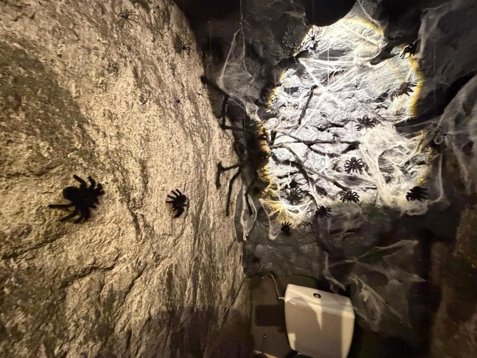 S Harry Potter 2, une immersion chez les sorciers Apartment in Grand Est