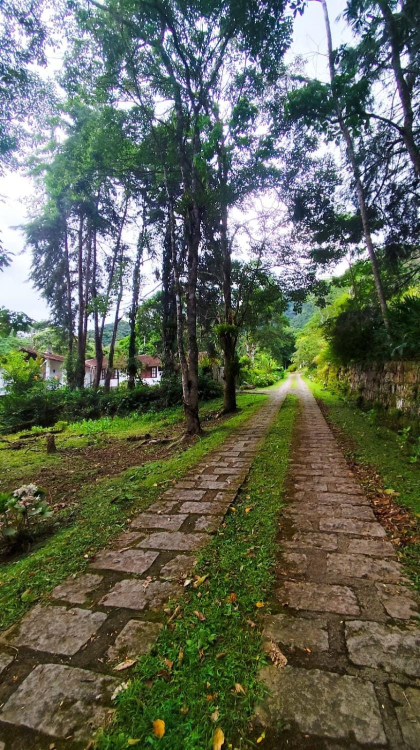 Natural landscape